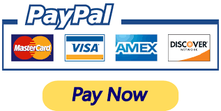 PayPal Pay Now